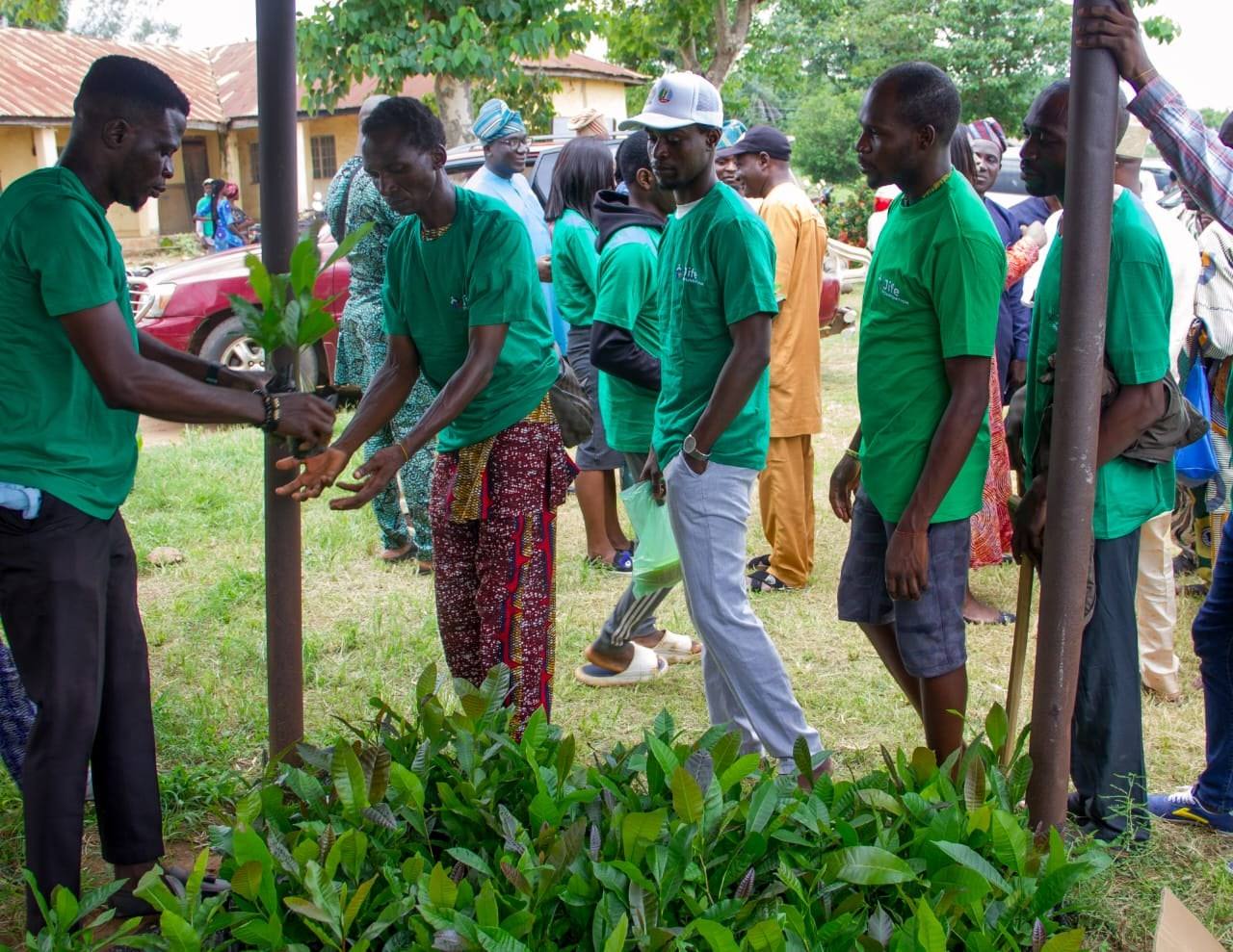 Farmers in JIFE Foundation shirts handing out cashew seedlings from a large stack of nursery bags.